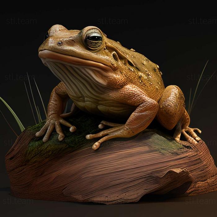 3D model Pelophylax chosenicus (STL)